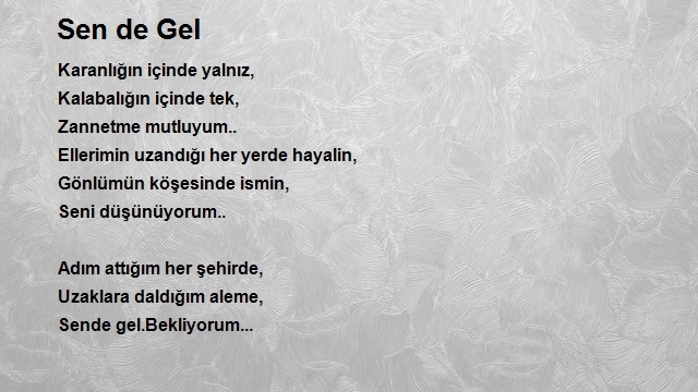 Ekrem Safitürk 2
