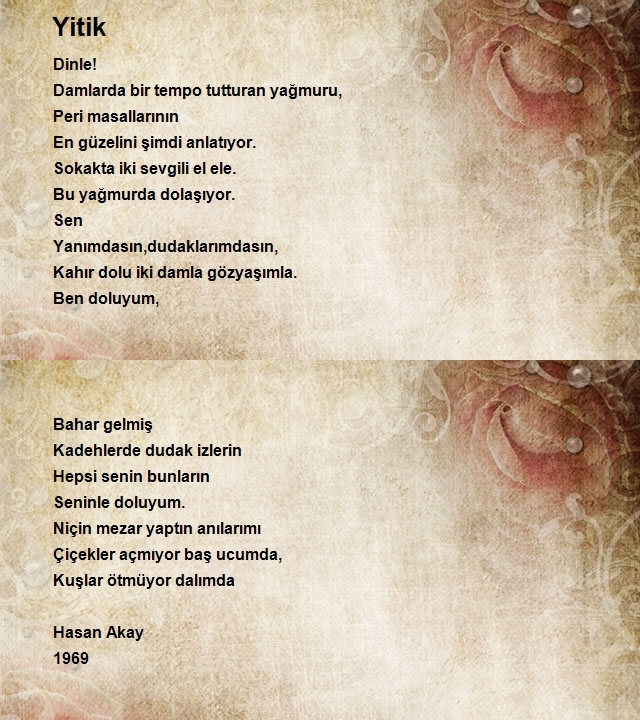 Hasan Akay