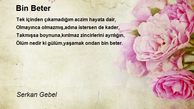 Serkan Gebel