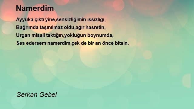 Serkan Gebel