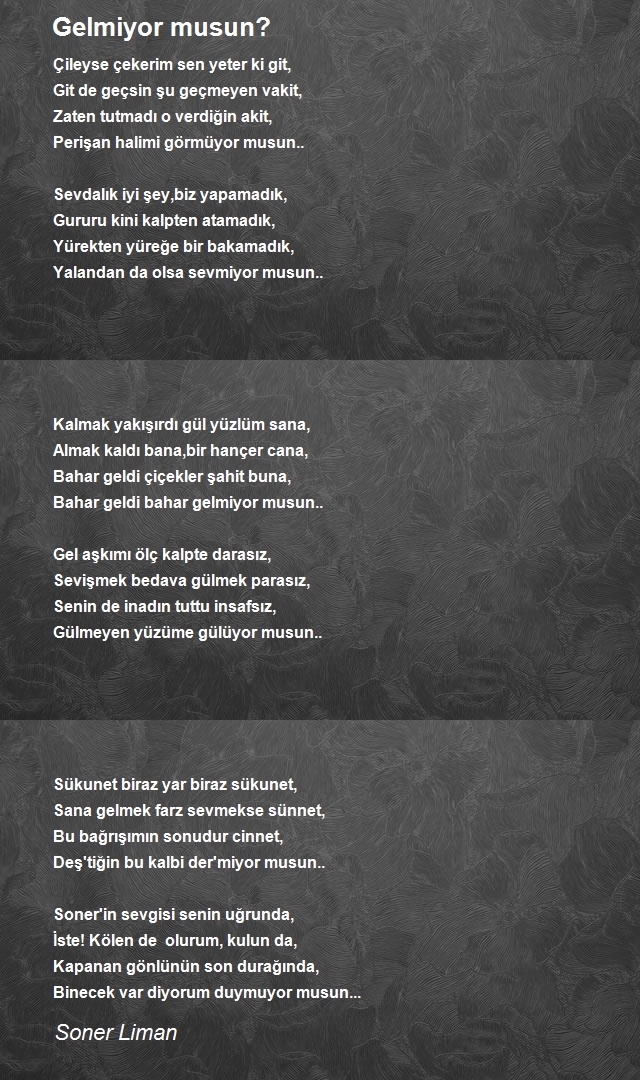 Soner Liman