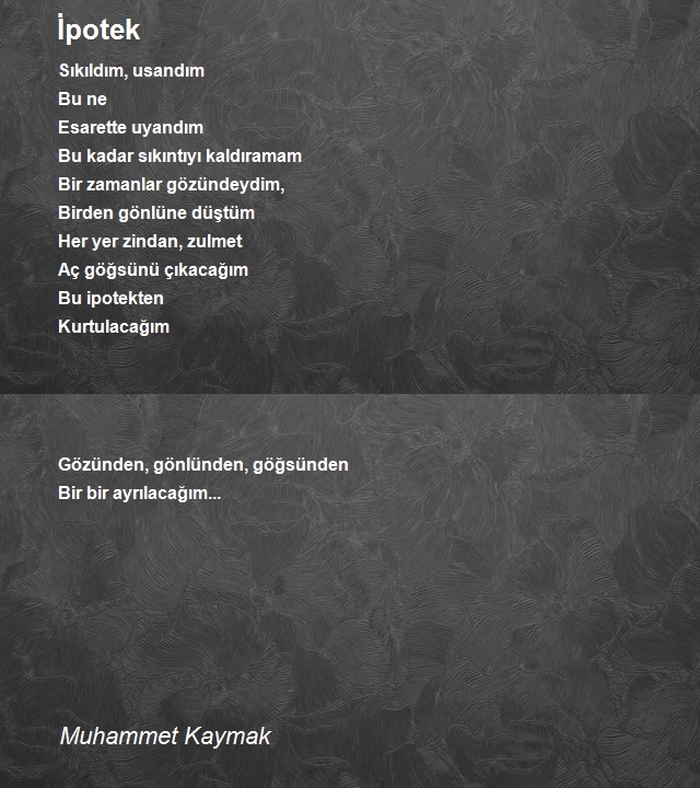 Muhammet Kaymak