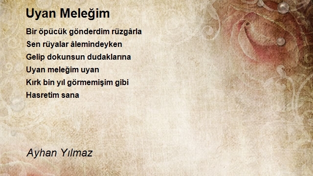 Ayhan Yılmaz