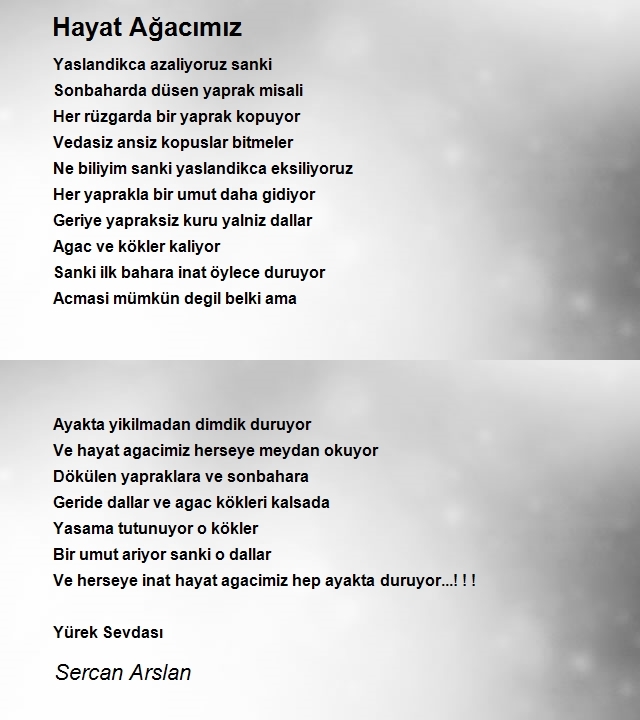 Sercan Arslan