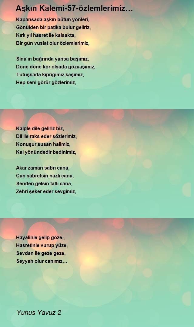 Yunus Yavuz 2