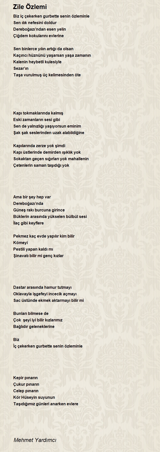 Mehmet Yardımcı