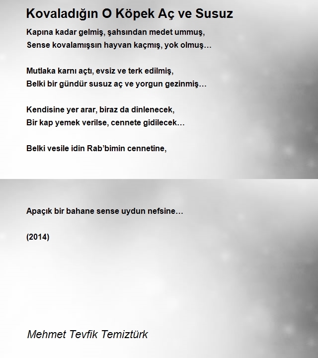 Mehmet Tevfik Temiztürk