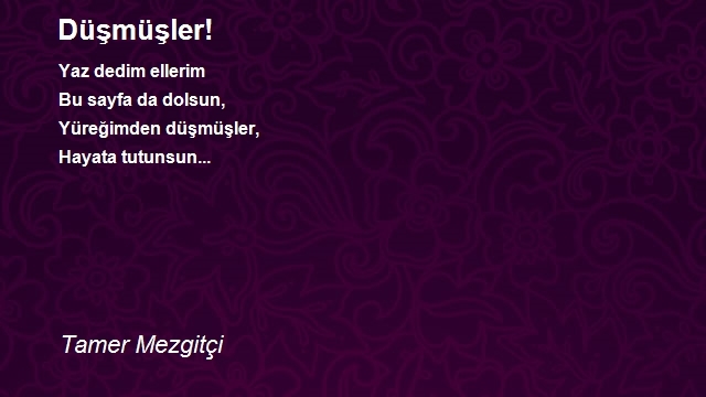 Tamer Mezgitçi
