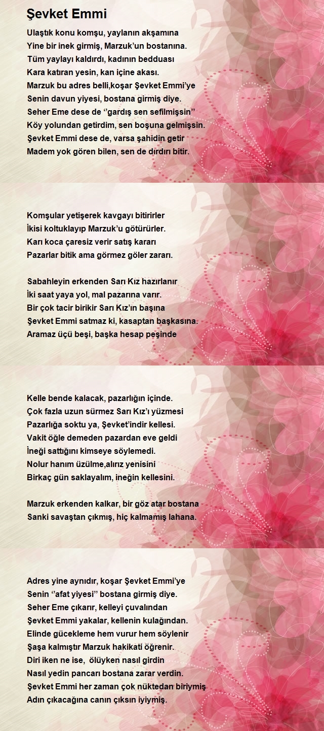 Mehmet Öztürk 3