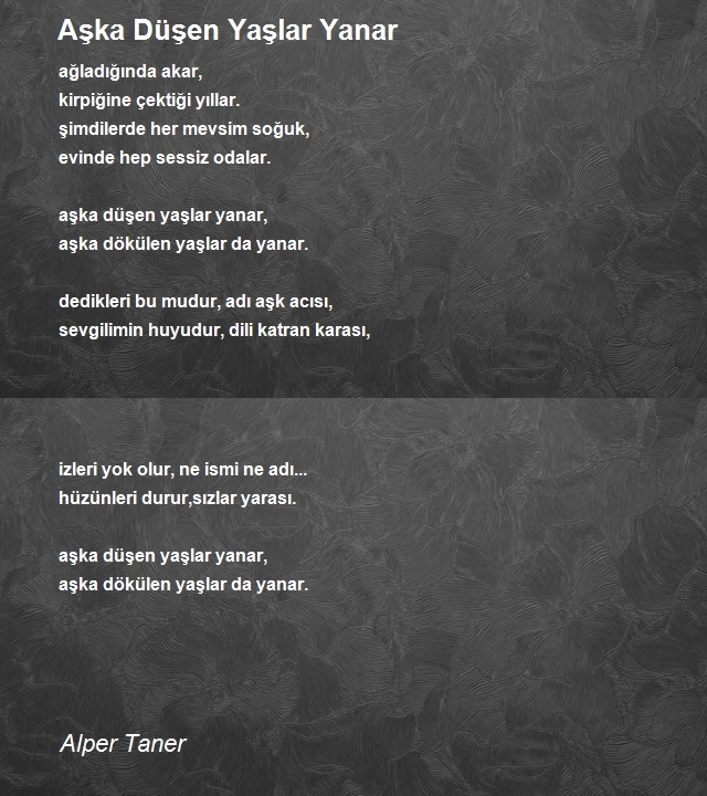 Alper Taner