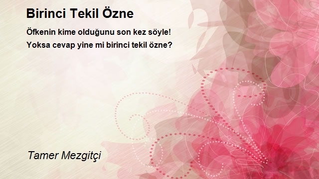 Tamer Mezgitçi