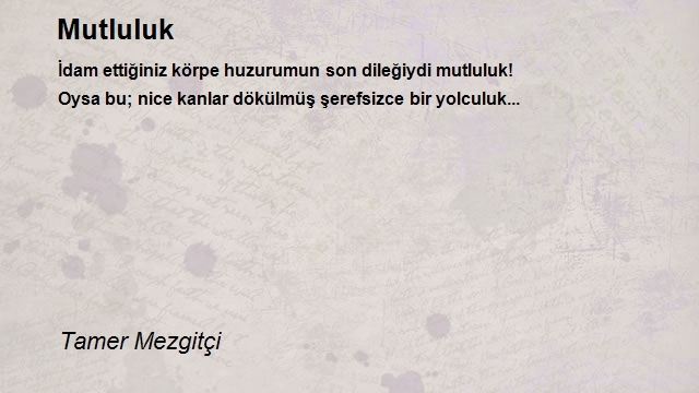 Tamer Mezgitçi