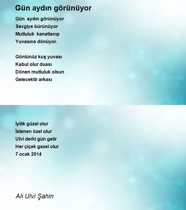 Ali Ulvi Şahin