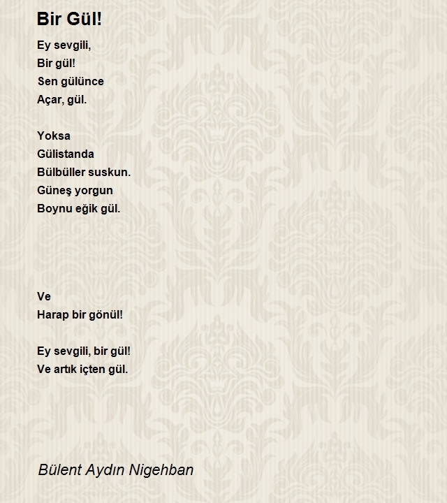 Bülent Aydın Nigehban
