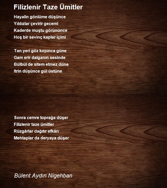 Bülent Aydın Nigehban
