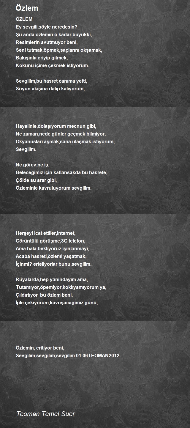 Teoman Temel Süer