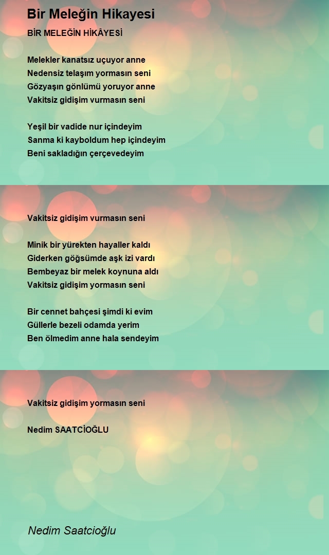 Nedim Saatcioğlu