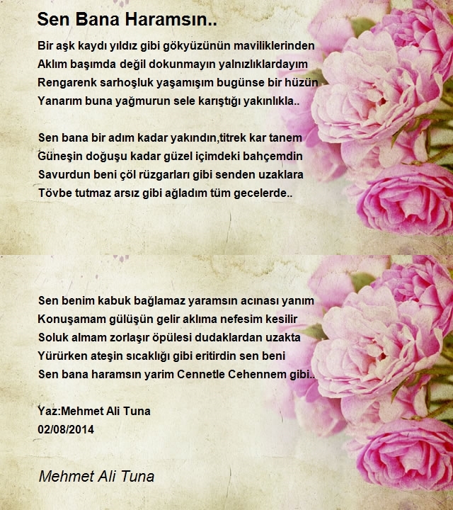 Mehmet Ali Tuna