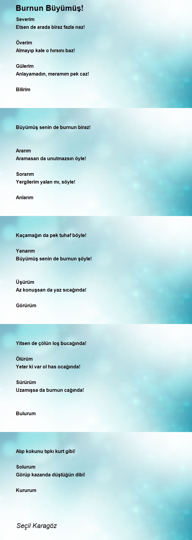 Seçil Karagöz