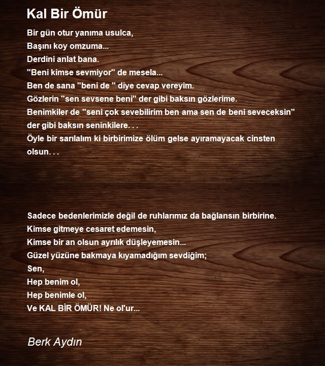Berk Aydın
