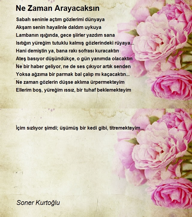 Soner Kurtoğlu