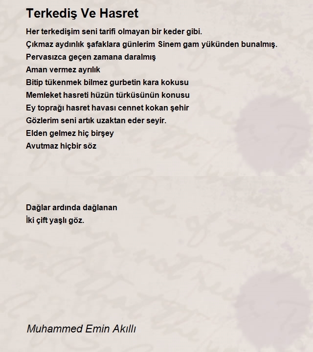 Muhammed Emin Akıllı