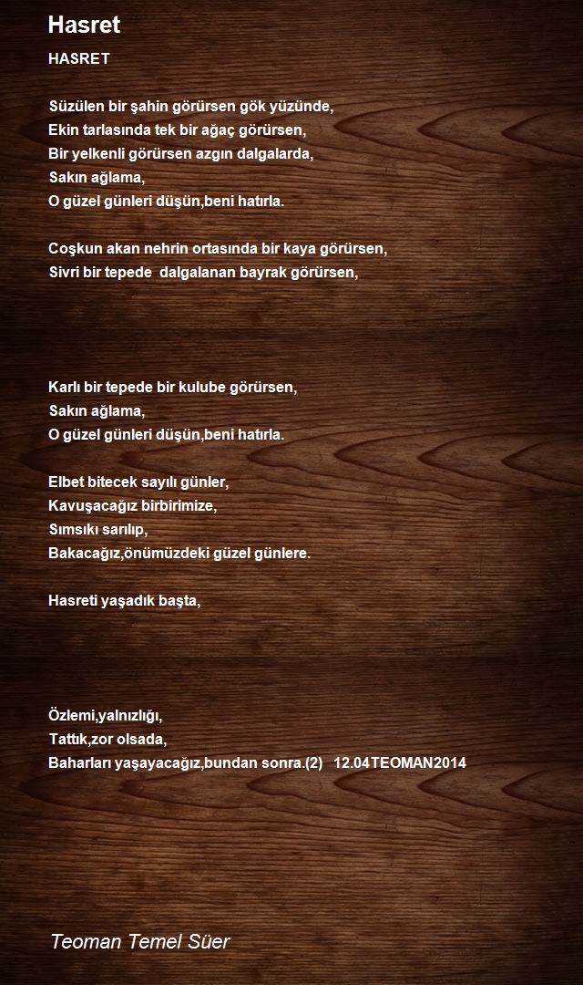 Teoman Temel Süer