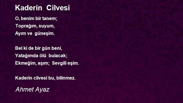 Ahmet Ayaz