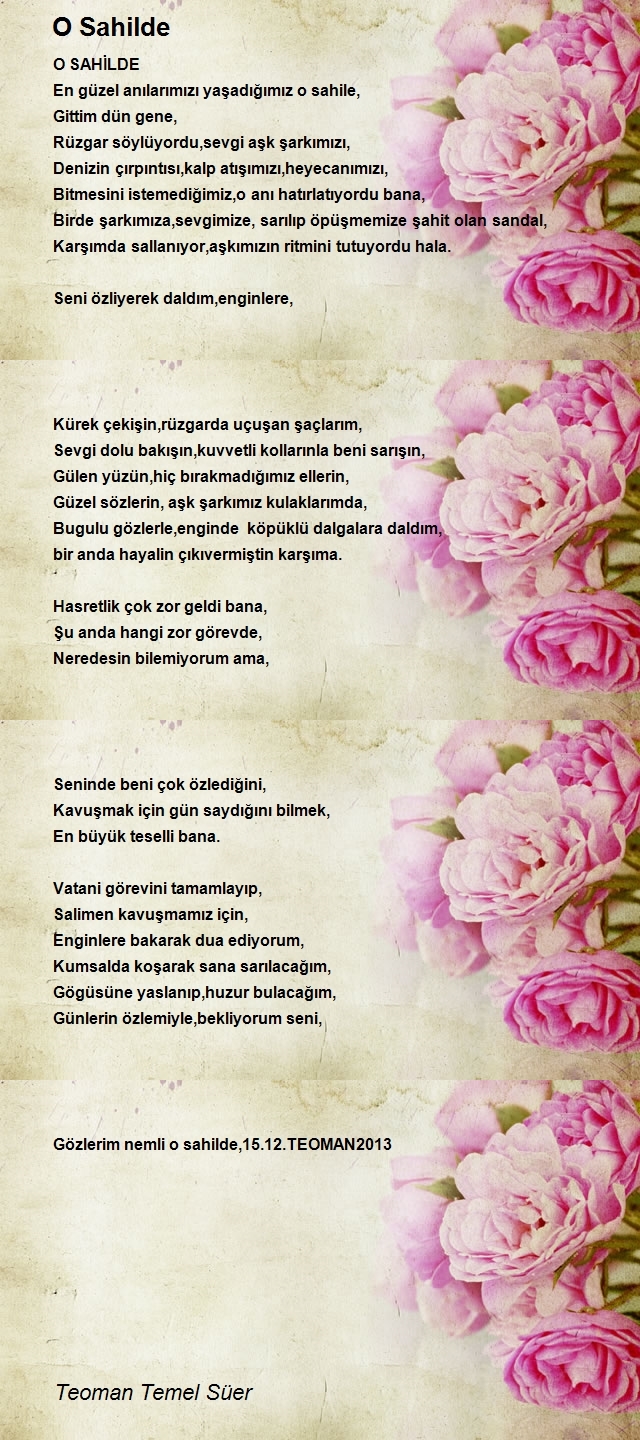 Teoman Temel Süer