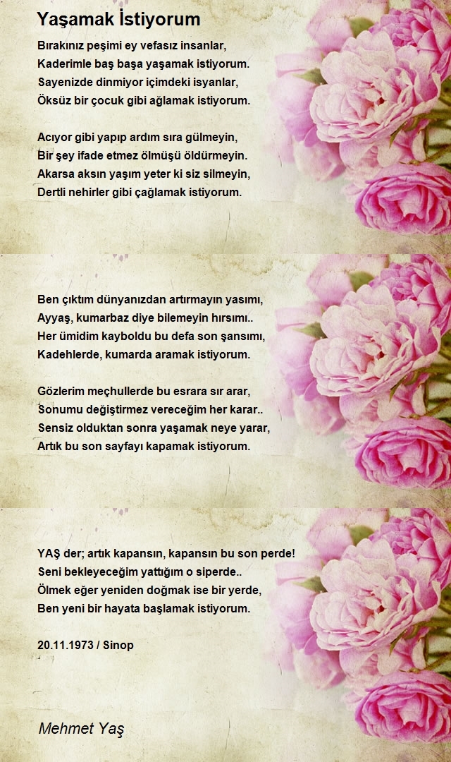 Mehmet Yaş