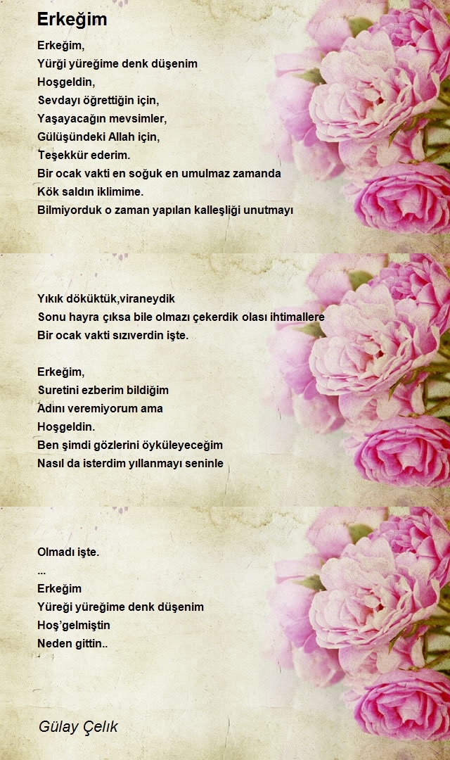 Gülay Çelık