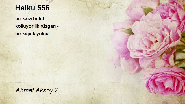Ahmet Aksoy 2