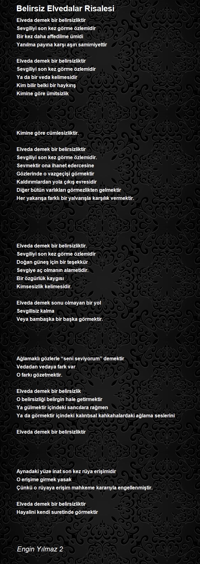 Engin Yılmaz 2