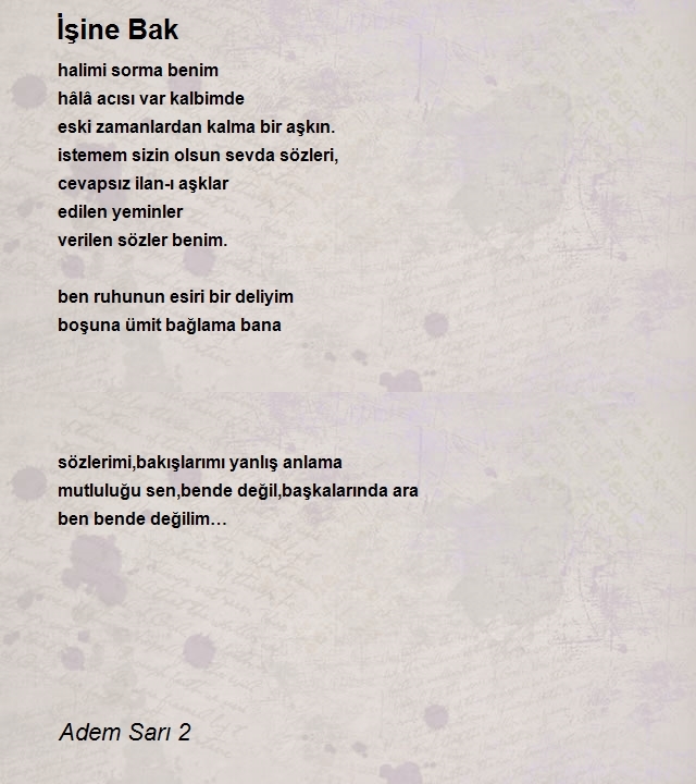 Adem Sarı 2
