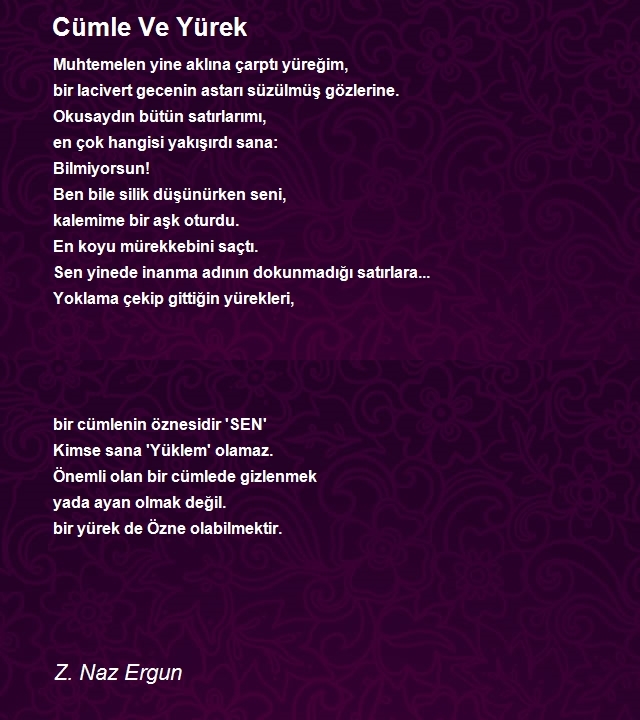 Z. Naz Ergun