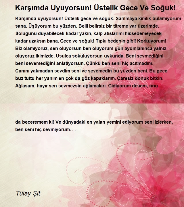 Tülay Şit