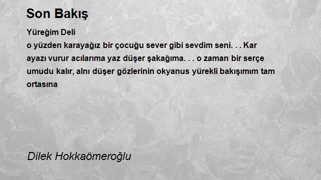 Dilek Hokkaömeroğlu