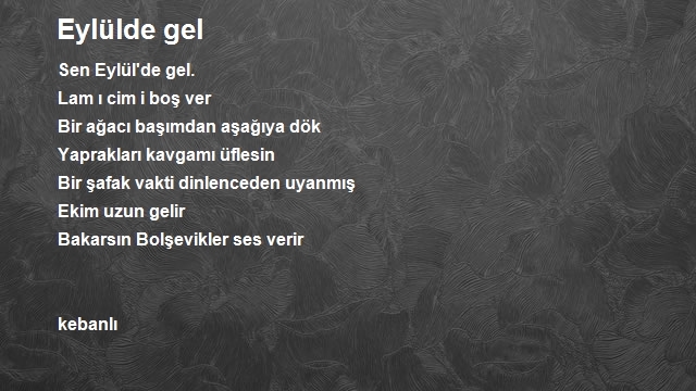 Veysel Taş