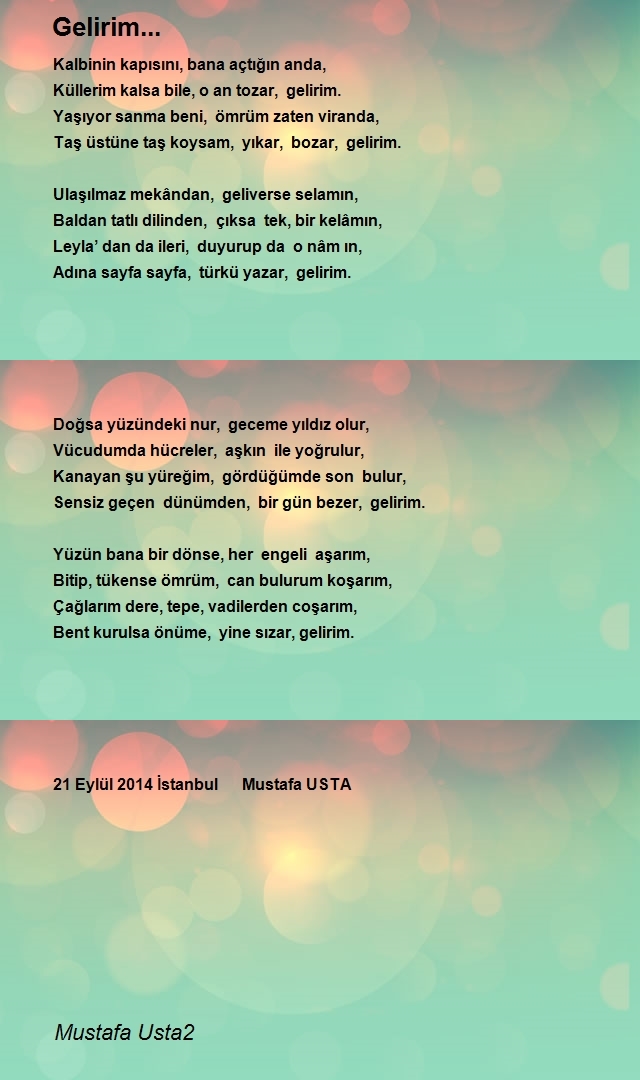 Mustafa Usta2