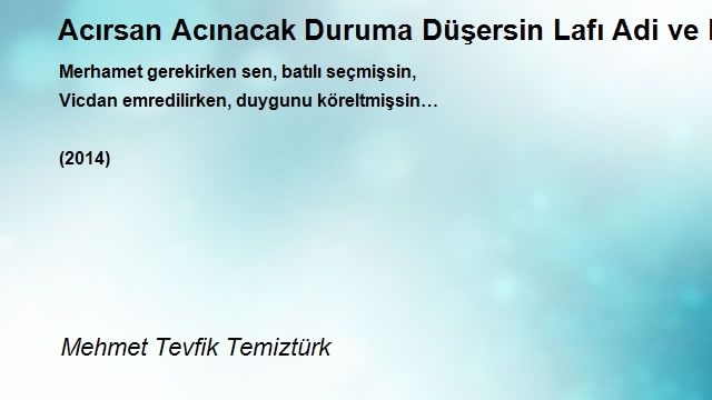Mehmet Tevfik Temiztürk