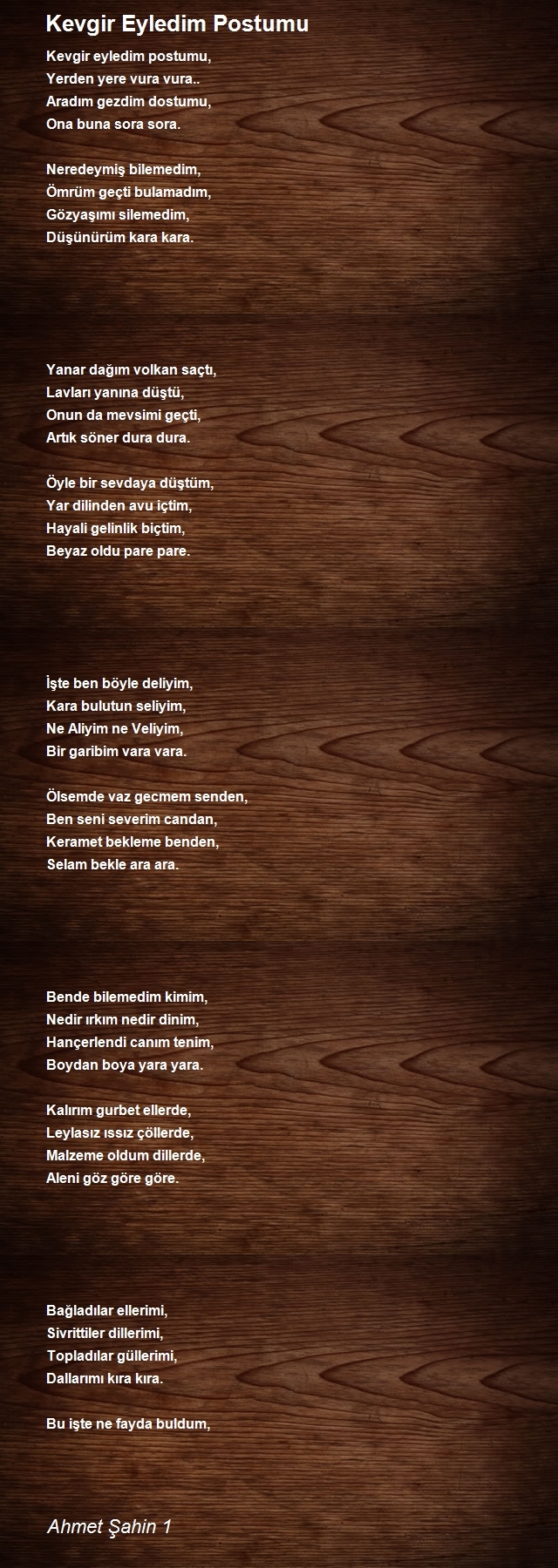 Ahmet Şahin 1