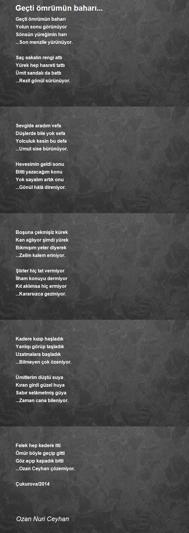 Ozan Nuri Ceyhan