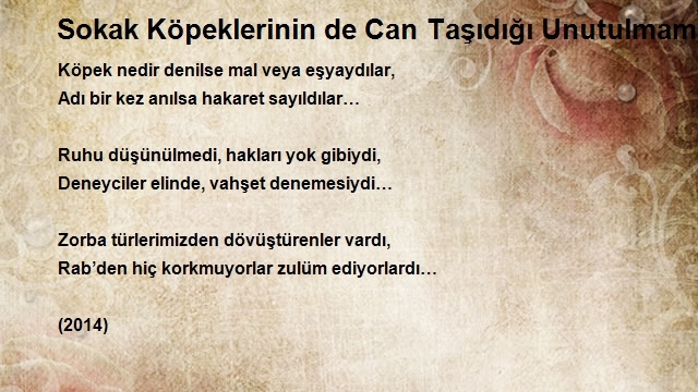 Mehmet Tevfik Temiztürk