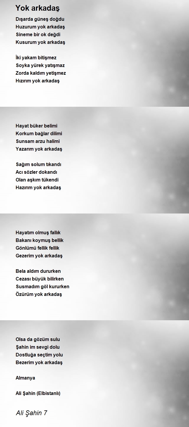 Ali Şahin 7