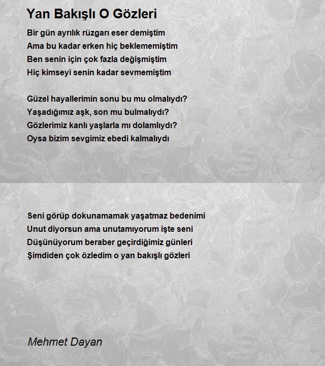 Mehmet Dayan