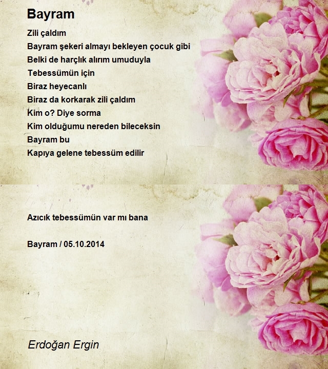 Erdoğan Ergin