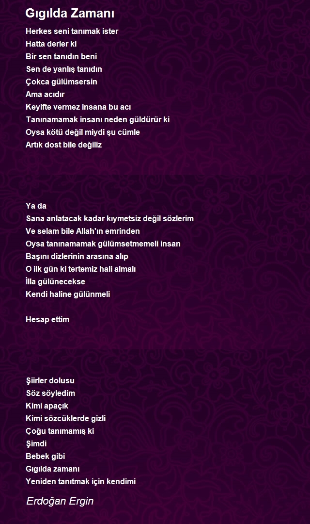 Erdoğan Ergin
