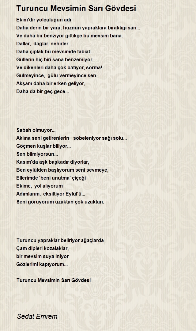 Sedat Emrem