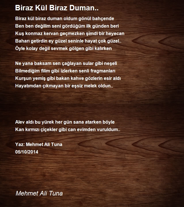 Mehmet Ali Tuna