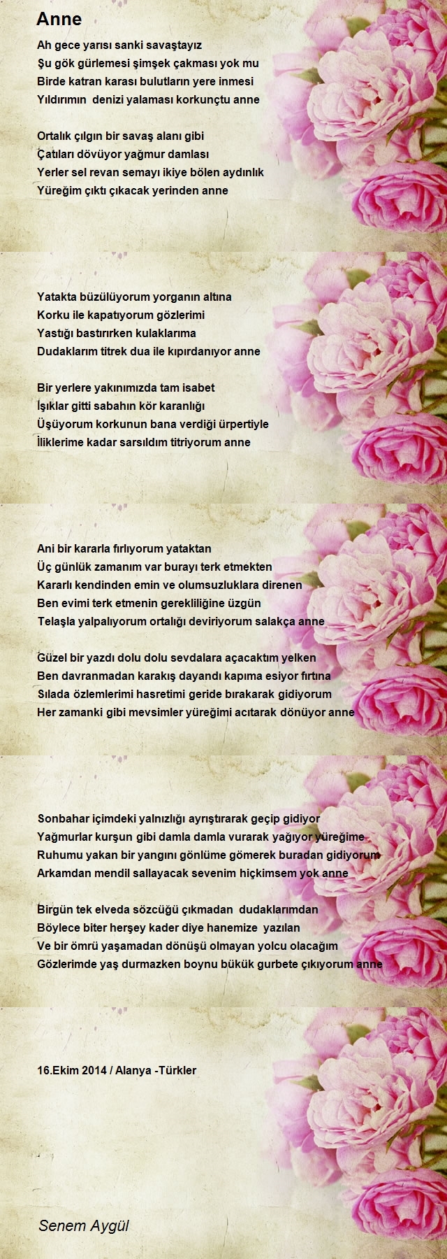 Senem Aygül